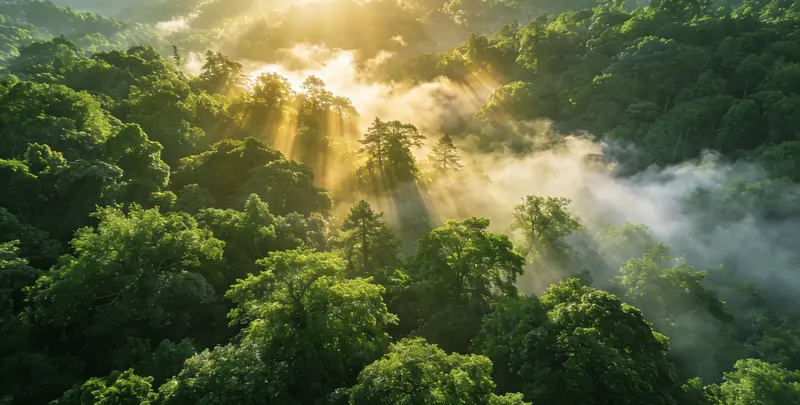 临汾肺癌8基因突变检测（组织）图片1